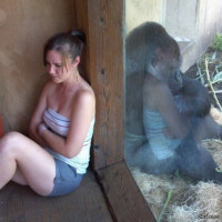 Если поругались